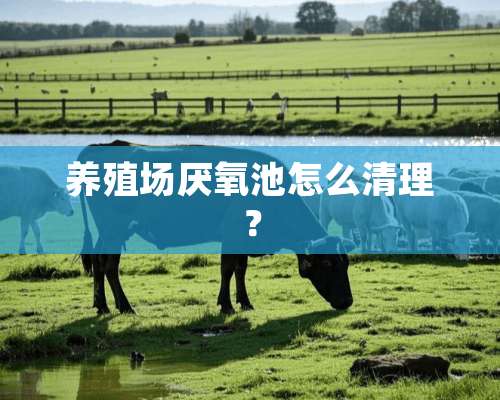 养殖场厌氧池怎么清理？