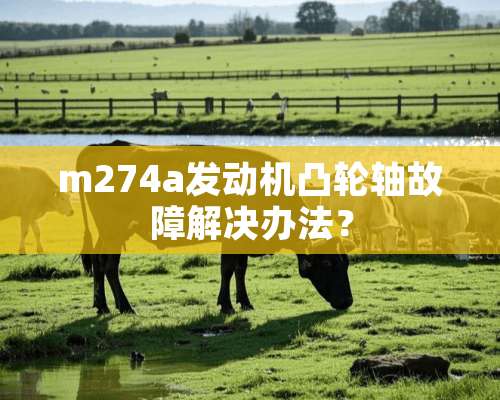 m274a发动机凸轮轴故障解决办法？