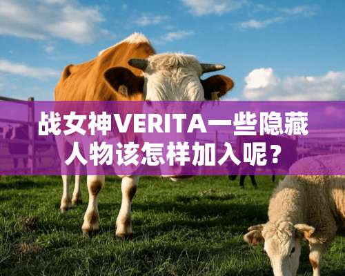 战女神VERITA一些隐藏人物该怎样加入呢？