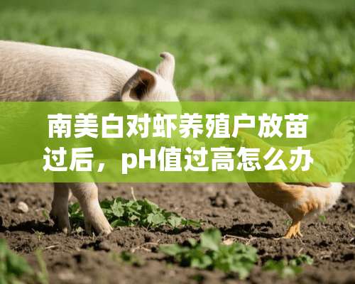 南美白对虾养殖户放苗过后，pH值过高怎么办？