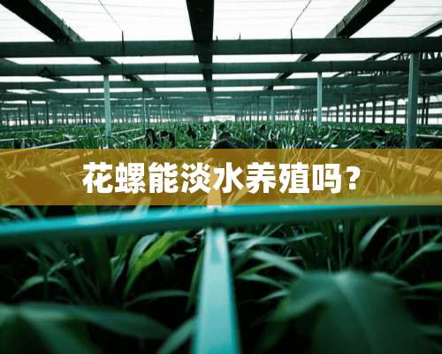 花螺能淡水养殖吗？