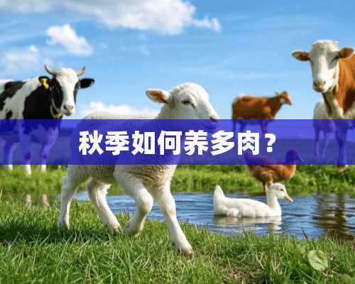 秋季如何养多肉？