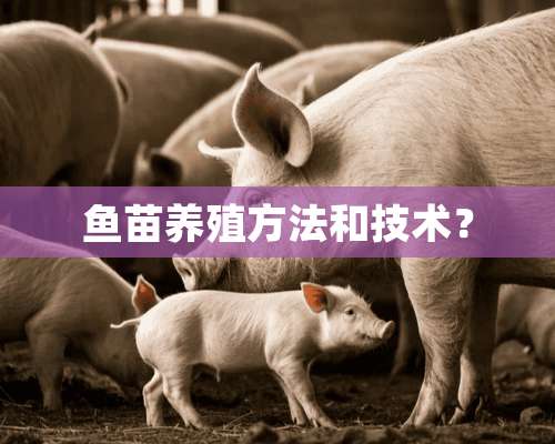 鱼苗养殖方法和技术？