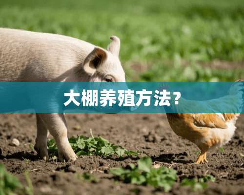 大棚养殖方法？