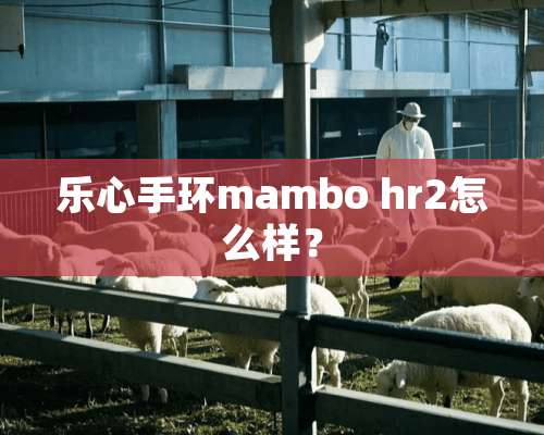 乐心手环mambo hr2怎么样？