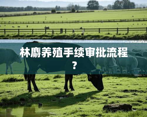 林麝养殖手续审批流程？