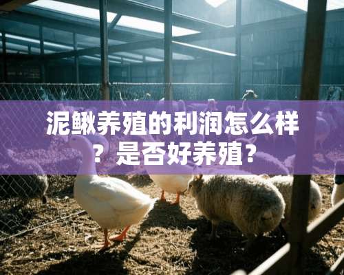 泥鳅养殖的利润怎么样？是否好养殖？