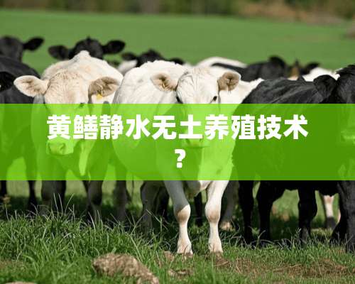 黄鳝静水无土养殖技术？