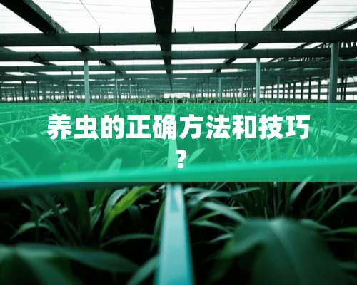 养虫的正确方法和技巧？