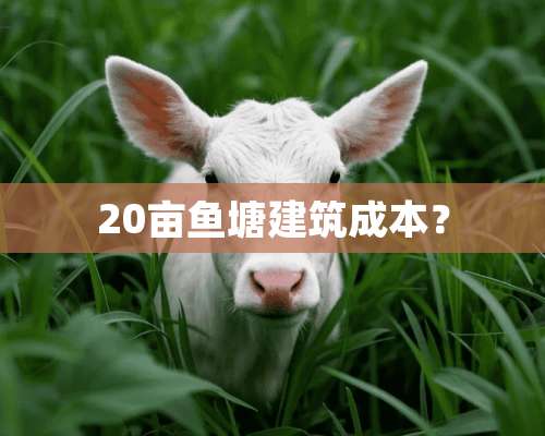 20亩鱼塘建筑成本？