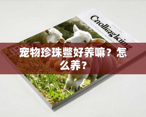 宠物珍珠鳖好养嘛？怎么养？