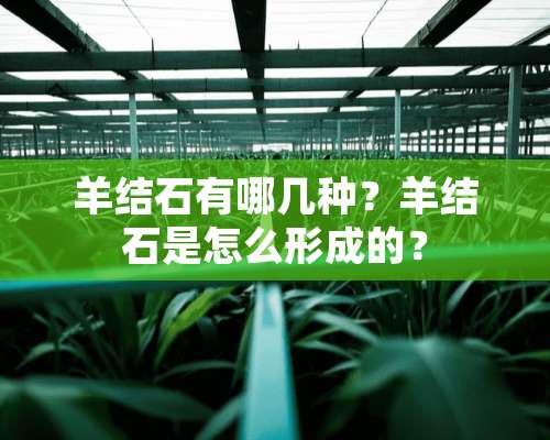 羊结石有哪几种？羊结石是怎么形成的？