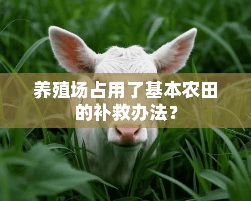 养殖场占用了基本农田的补救办法？