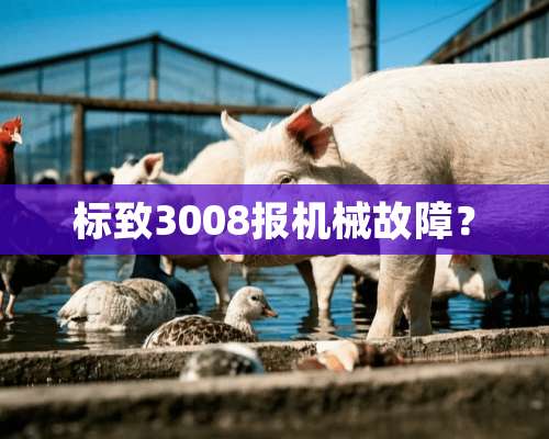 标致3008报机械故障？