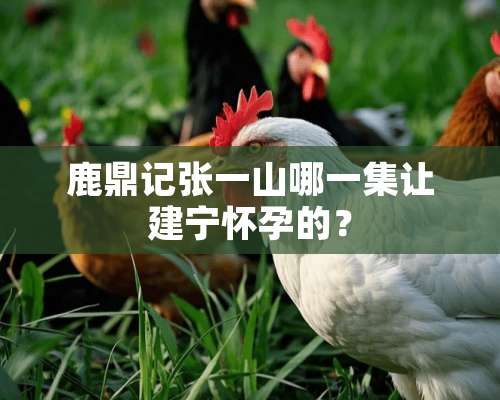 鹿鼎记张一山哪一集让建宁怀孕的？