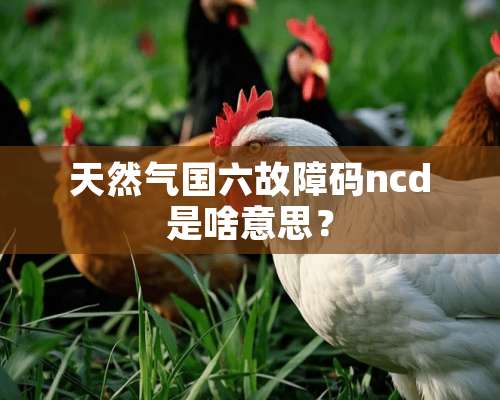 天然气国六故障码ncd是啥意思？