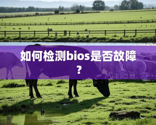 如何检测bios是否故障？