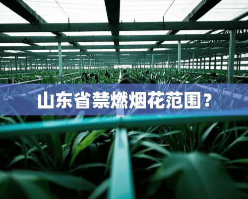 山东省禁燃烟花范围？