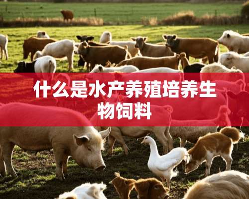 什么是水产养殖培养生物饲料