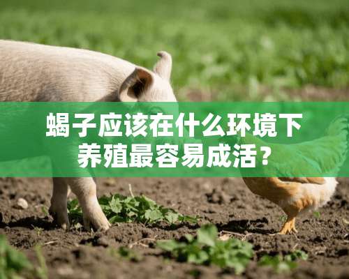 蝎子应该在什么环境下养殖最容易成活？