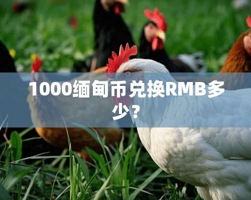 1000缅甸币兑换RMB多少？