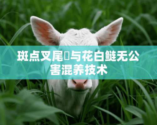 斑点叉尾鮰与花白鲢无公害混养技术