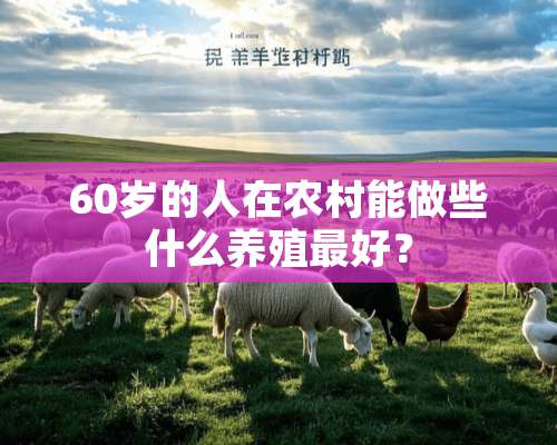 60岁的人在农村能做些什么养殖最好？