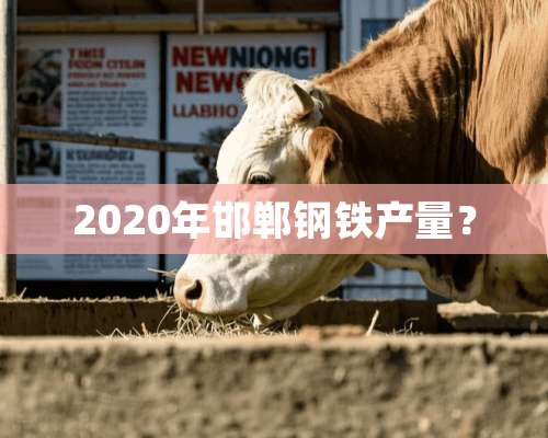 2020年邯郸钢铁产量？