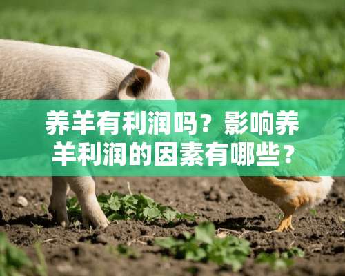 养羊有利润吗？影响养羊利润的因素有哪些？