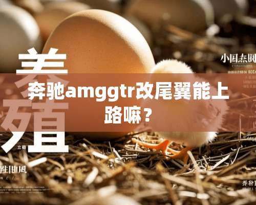 奔驰amggtr改尾翼能上路嘛？