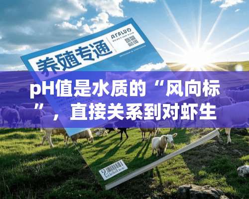 pH值是水质的“风向标”，直接关系到对虾生长的好坏