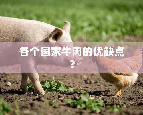 各个国家牛肉的优缺点？