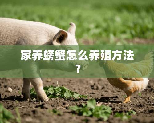 家养螃蟹怎么养殖方法？