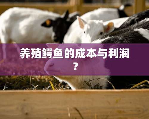 养殖鳄鱼的成本与利润？