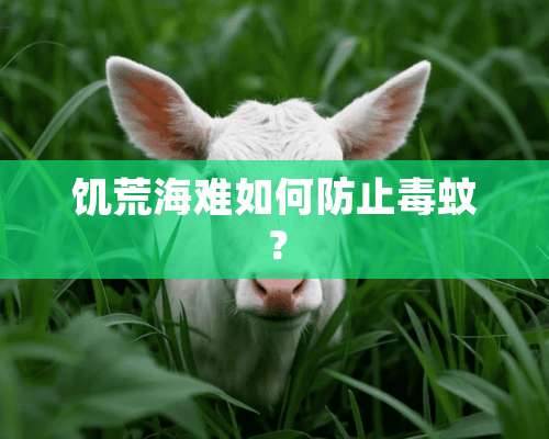 饥荒海难如何防止毒蚊？