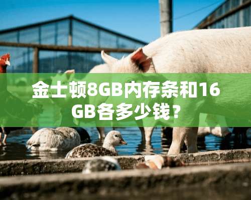 金士顿8GB内存条和16GB各多少钱？