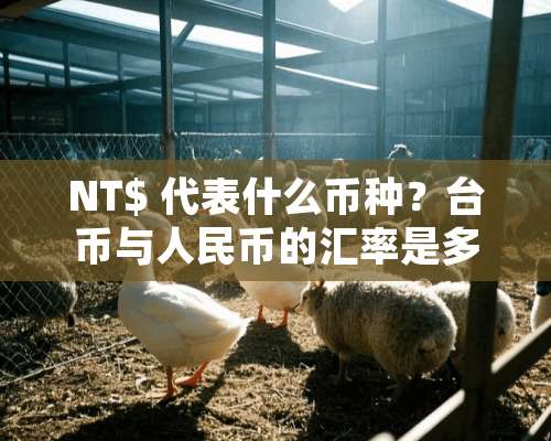 NT$ 代表什么币种？台币与人民币的汇率是多少？