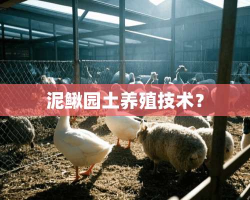 泥鳅园土养殖技术？