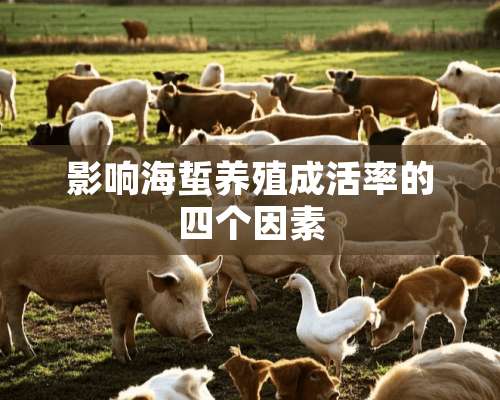 影响海蜇养殖成活率的四个因素