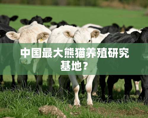 中国最大熊猫养殖研究基地？