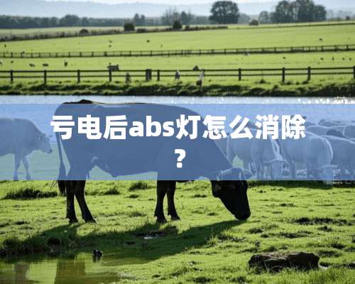 亏电后abs灯怎么消除？