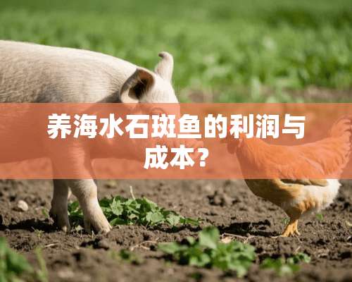 养海水石斑鱼的利润与成本？