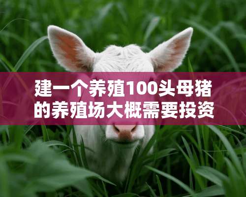 建一个养殖100头母猪的养殖场大概需要投资多少钱