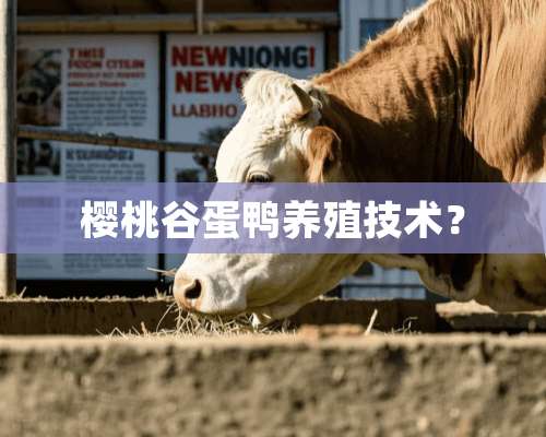 樱桃谷蛋鸭养殖技术？