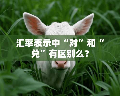 汇率表示中“对”和“兑”有区别么？