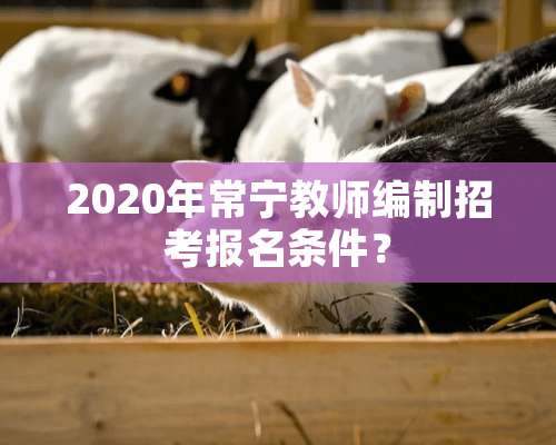 2020年常宁教师编制招考报名条件？