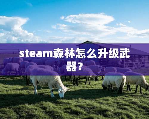 steam森林怎么升级**？