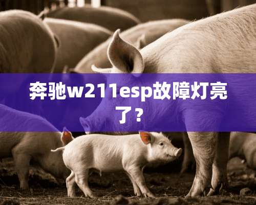 奔驰w211esp故障灯亮了？