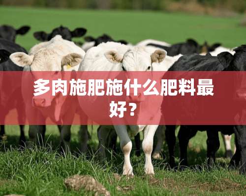 多肉施肥施什么肥料最好？