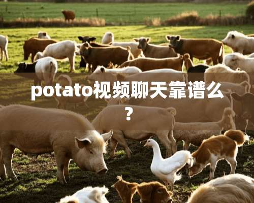 potato视频聊天靠谱么？